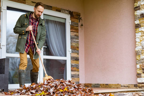 Best Yard Cleanup Services  in Ashley, OH